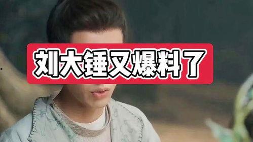 刘大锤的最新爆料是什么,揭秘娱乐圈惊人内幕